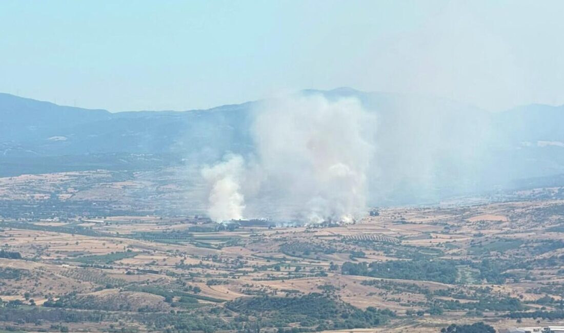 Balıkesir’de orman yangınına ekipler müdahale ediyor Balıkesir'in Altıeylül ilçesinde çıkan arazi yangınına ekiplerin müdahalesi devam ediyor.