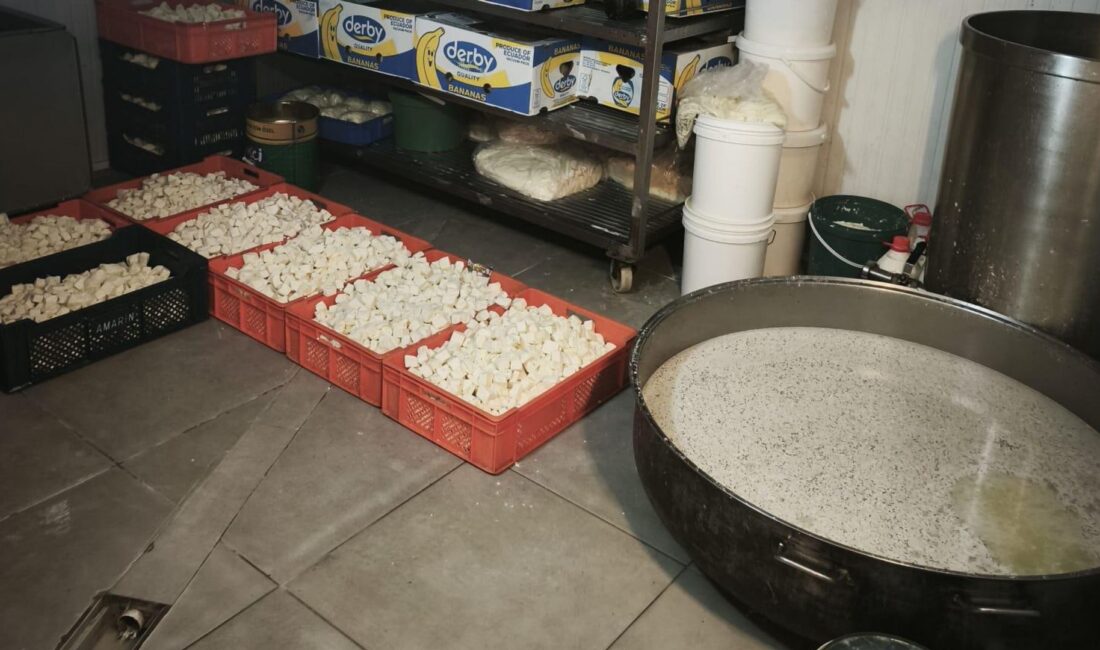Ankara’da 9 ton bozuk süt ele geçirildi Ankara'da süt ve süt ürünleri üreten bir işletmeye düzenlenen denetimde