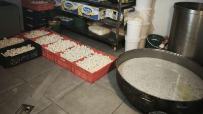 Ankara'da süt ve süt ürünleri üreten bir işletmeye düzenlenen denetimde